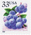3294  - 1999 33c Blueberry