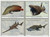 UNG590-93  - 2014 Fs 1,40 Endangered Species
