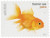 5110  - 2016 First-Class Forever Stamp - Pets: Goldfish