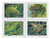 5395-98  - 2019 First-Class Forever Stamp - Frogs