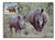AC472  - 7/1/1987, Swaziland, White Rhinoceros