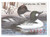 SDIN20  - 1995 Indiana State Duck Stamp