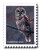 5536  - 2020 First-Class Forever Stamps - Winter Scenes: Barred Owl