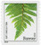 4875  - 2014 First-Class Forever Stamp - Ferns (non-denominated): Soft Shield Fern