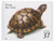 3818  - 2003 37c Reptiles and Amphibians: Ornate Box Turtle