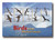 MFN387  - 2021 75c Birds of Marshall Islands: Laysan Albatross - Great Frigatebird, Mint Sheet of 10, Marshall Islands