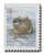 5648  - 2021 First-Class Forever Stamps - Otters in Snow: Otter in Water