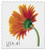 4177  - 2007 41c Beautiful Blooms: Orange Gerbera Daisy, booklet single