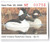 SDIN30  - 2005 Indiana State Duck Stamp