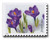5729  - 2022 First-Class Forever Stamp - Snowy Beauty: Crocus