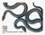 3105k  - 1996 32c Endangered Species: San Francisco Garter Snake