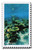 5713g  - 2022 First-Class Forever Stamp - National Marine Sanctuaries: Elkhorn Coral