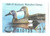 SDKY12  - 1996 Kentucky State Duck Stamp