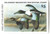 SDDE13  - 1992 Delaware State Duck Stamp