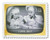 4414b  - 2009 44c Early TV Memories: I Love Lucy