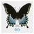 4736  - 2013 66c Spicebush Swallowtail Butterfly