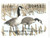 SDIL24  - 1998 Illinois State Duck Stamp