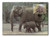 AC493  - 08/05/1986, Sri Lanka, Asian Elephant, Mom and baby