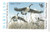 SDMD23  - 1996 Maryland State Duck Stamp