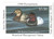 SDPA8  - 1990 Pennsylvania State Duck Stamp