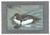 SDKS9  - 1995 Kansas State Duck Stamp