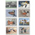 RW43//57  - 1976-90 Federal Duck Stamp - Set of 8