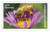 5231  - 2017 First-Class Forever Stamp - Protect Pollinators: Honeybee on a Purple Aster