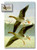 59464  - 1995 UK Mint Presentation Folder w/Stamp