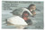 SDMD20  - 1993 Maryland State Duck Stamp