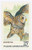 1762  - 1978 15c American Owls: Barred Owl