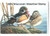 SDWI28  - 2005 Wisconsin State Duck Stamp