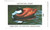 SDIA32  - 2003 Iowa State Duck Stamp