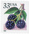 3301  - 1999 33c Blackberry, booklet single