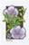 2696  - 1992 29c Wildflowers: Wild Flax