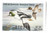 SDKY15  - 1999 Kentucky State Duck Stamp
