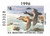 SDNH14  - 1996 New Hampshire State Duck Stamp