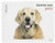 5125  - 2016 First-Class Forever Stamp - Pets: Dogs