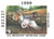 SDNH17  - 1999 New Hampshire State Duck Stamp