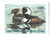 SDOH15  - 1996 Ohio State Duck Stamp