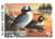 SDMN12  - 1988 Minnesota State Duck Stamp