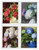 5237-40  - 2017 First-Class Forever Stamp - Flowers from the Garden (booklet)