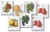 5037/5256  - 2016-18 Fruit, collection of 7 stamps