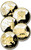 CNTT2008  - 2008 Two Toned U.S. State Quarters, Set of 5