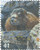 4198c  - 2007 42c Alpine Tundra:Yellow-Bellied Marmot