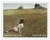 5212c  - 2017 First-Class Forever Stamp - Andrew Wyeth Paintings: "Christina's World"