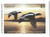 SDMN27  - 2003 Minnesota State Duck Stamp
