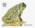 3105g  - 1996 32c Endangered Species: Wyoming Toad