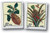 3128-29  - 1997 32c Citron and Flowering Pineapple, booklet stamps