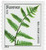 4877  - 2014 First-Class Forever Stamp - Ferns (non-denominated): Goldie's Wood Fern