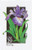 2663  - 1992 29c Wildflowers: Blue Flag